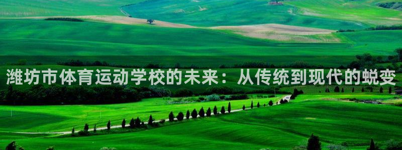 一竞技官网下载招商电话号码是多少:潍坊市体育运动学校的未来: