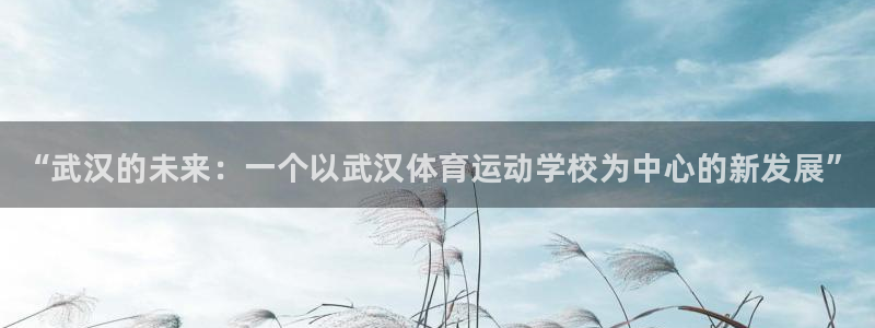 一竞技官方正版app集团官网首页:“武汉的未来:一个以武汉体
