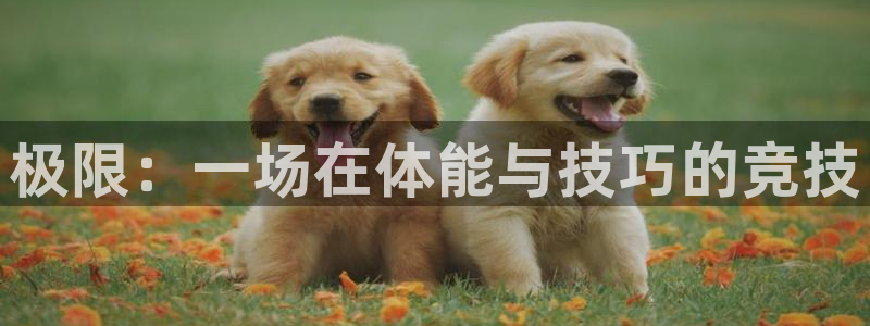一竞技官网下载平台:极限:一场在体能与技巧的竞技