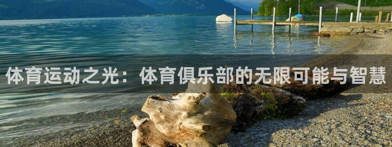 一竞技官方正版app官网:体育运动之光:体育俱乐部的无限可能